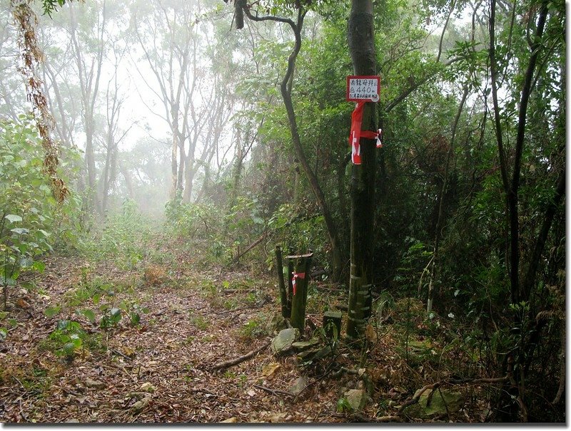 南龍母拜山山頂