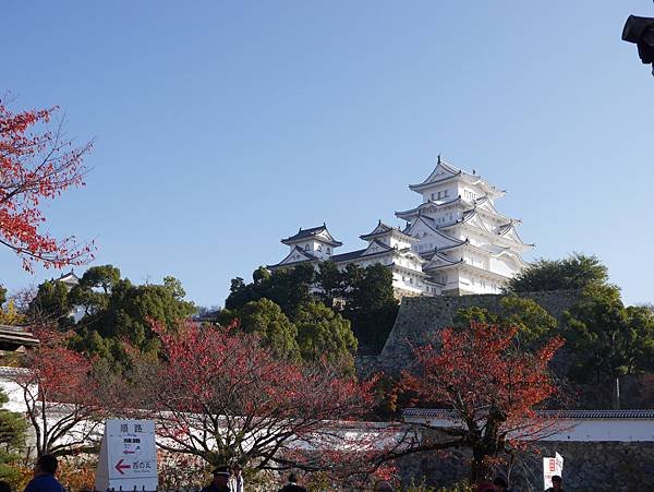 P1000420.JPG