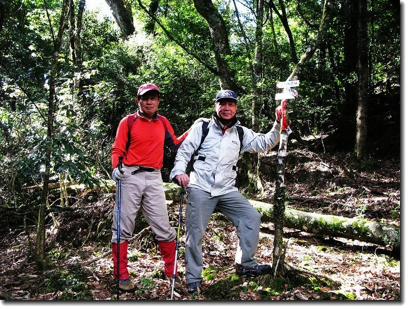 白姑南山、八東山岔路