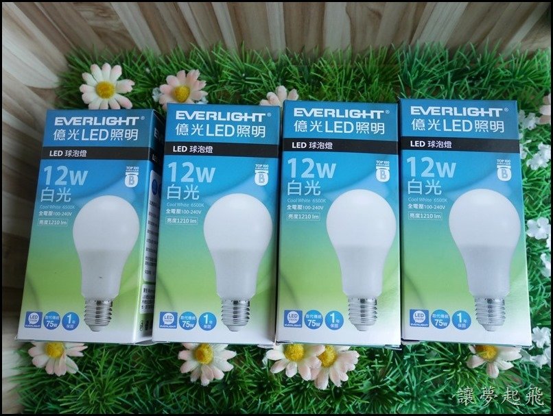 億光 LED 12W21