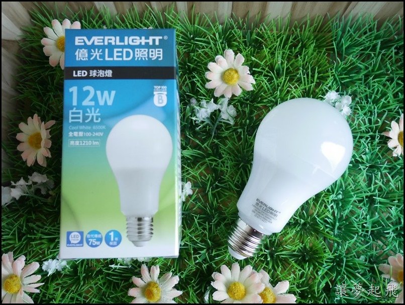 億光 LED 12W29