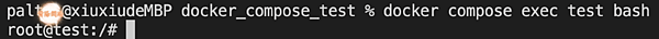 docker compose exec test bash