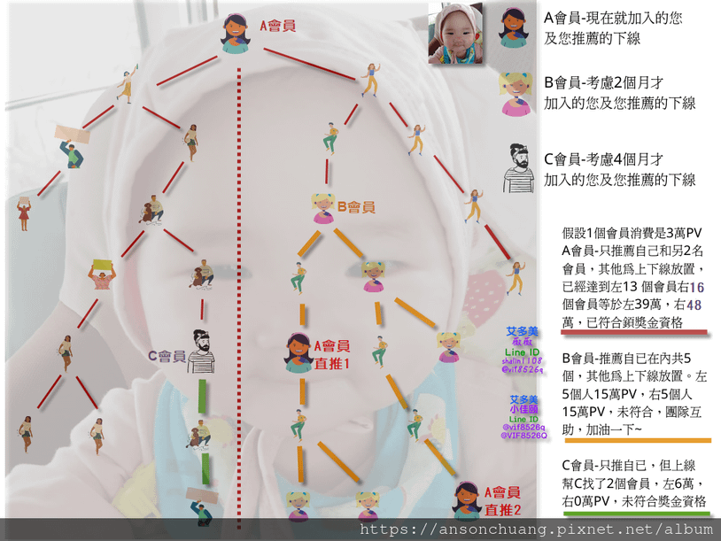 精簡說明雙軌制