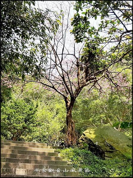 觀音山牛港稜步道-3_010.jpg