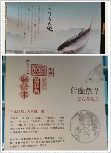 虱目魚主題館2.jpg