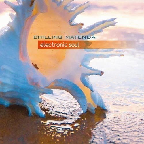 Chilling Matenda - Electronic Soul.jpg