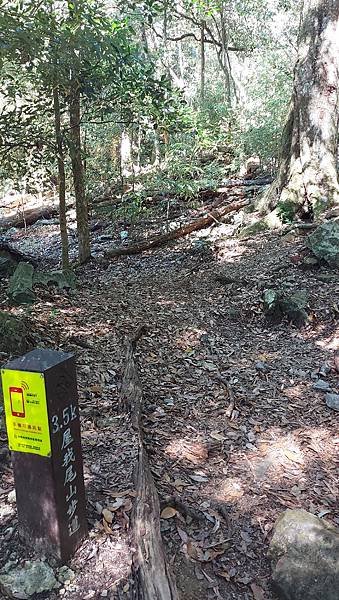 【屋我尾山】谷關七雄3-屋我尾山步道(麗陽登山口)谷關七雄老