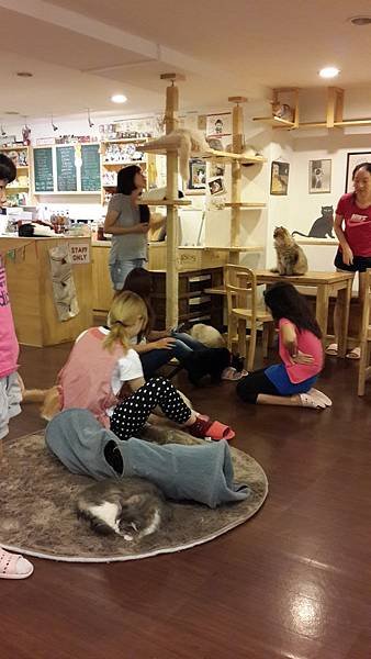 20140826_140510.jpg