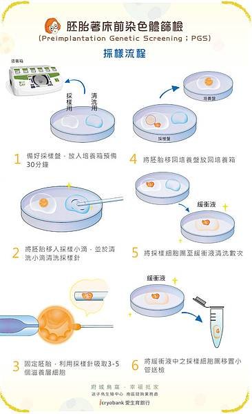 胚胎著床前染色體篩檢-07.jpg