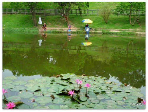 台北南港 公園、麗山橋步道