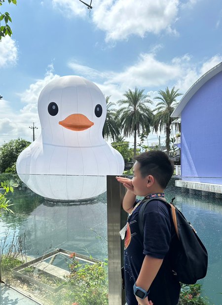 【水岸森林物語動物園區宜蘭冬山】全台最大湖中巨大白色柯爾鴨熱