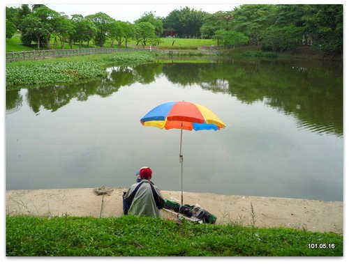 台北南港 公園、麗山橋步道