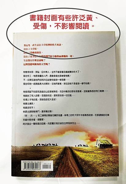 書籍封面有些許泛黃、受傷-2