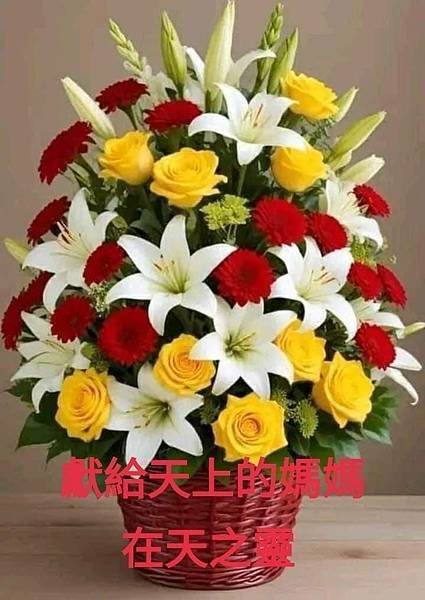 吳家驥：回首來時路追思母親