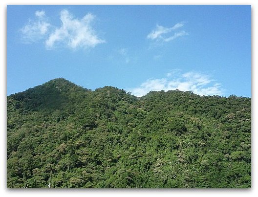 新北烏來 拔刀爾山970924