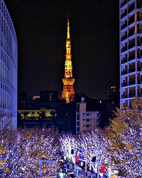 東京冬季燈飾 讀賣樂園 中城日比谷 巨蛋城 六本