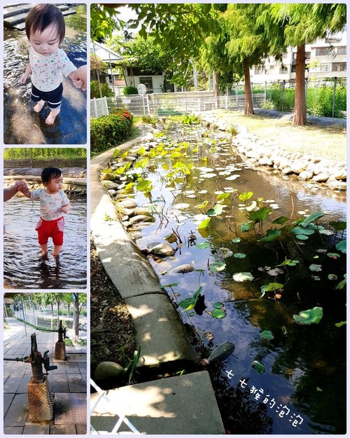 台中親子景點｜赤腳ㄚ生態農莊｜小動物、沙坑、草地、戲水池、溜