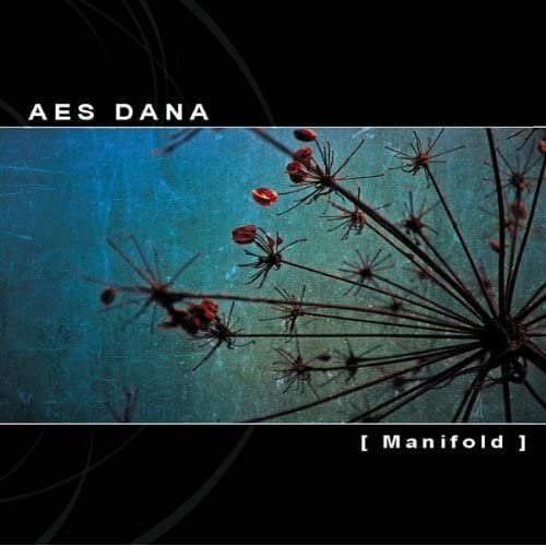 Aes Dana - Manifold 合成物.jpg