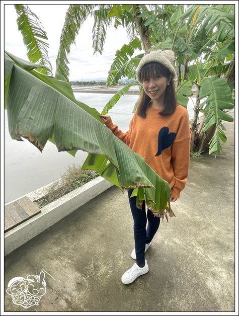 花7.jpg