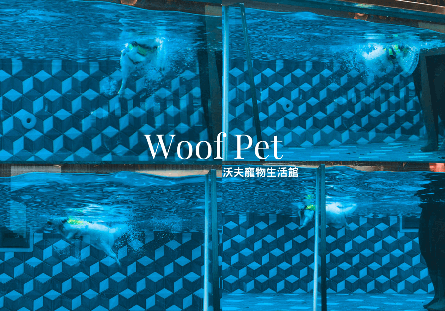 Woof Pet 沃夫寵物生活館 (7).png