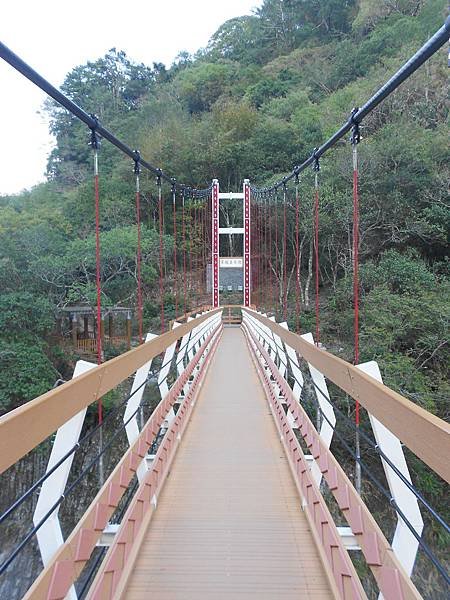 DSCN7888-1041108