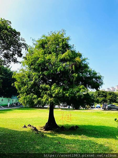 ＊【台南開箱】超酷的城市森林「巴克禮紀念公園」荒野公園，你我