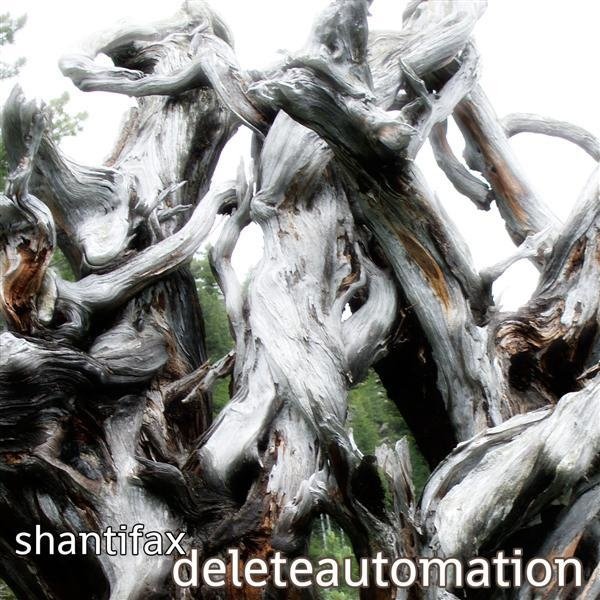 Shantifax - Delete Automation.jpg