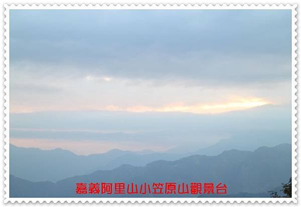 嘉義阿里山 10