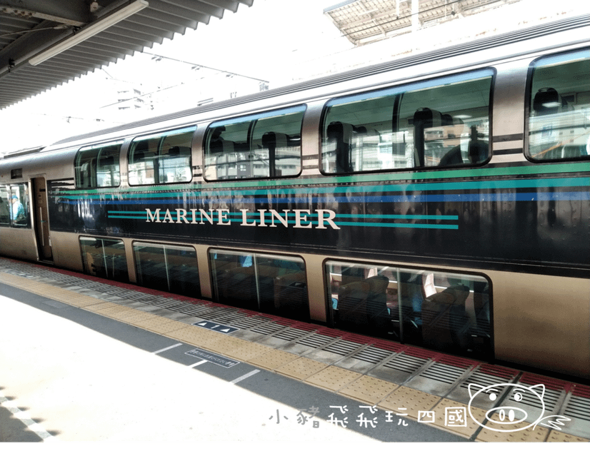 marine liner (11).png