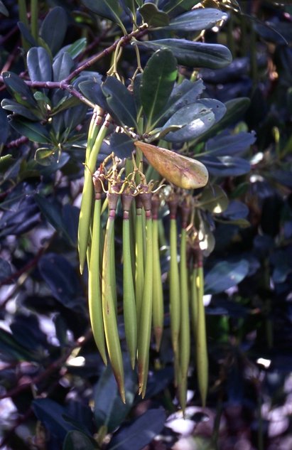 1110429-010.jpg