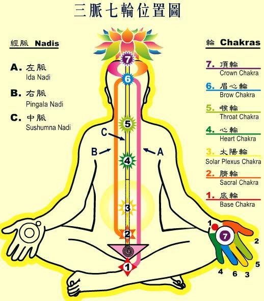 認識脈輪7個生命的階段-3.jpg