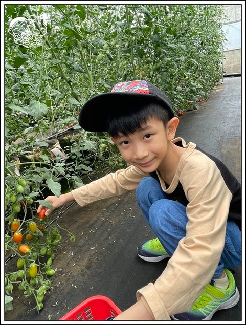 苗8.jpg