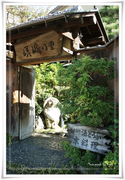 照片 781.jpg
