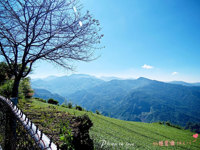 1阿里山公路台18線沿途風景008 拷貝.jpg