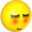 face (65)