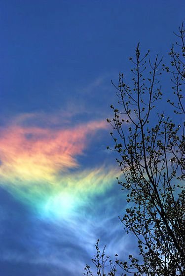 火彩虹 circumhorizon arc