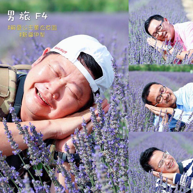 新疆花海