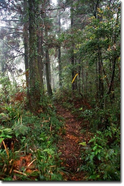 阿玉山登山步道