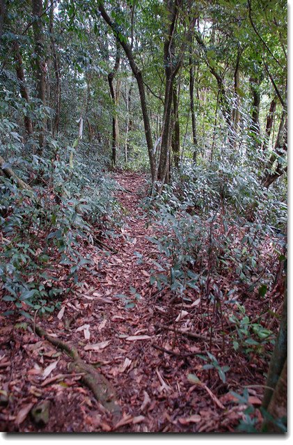 再生山登山路徑