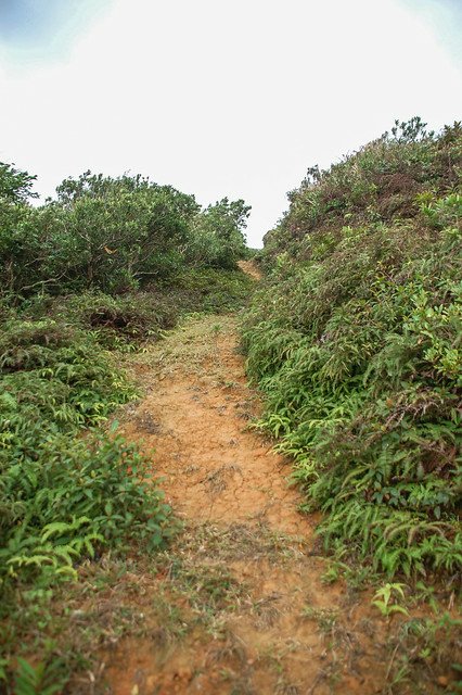 九棚山登山步道 5