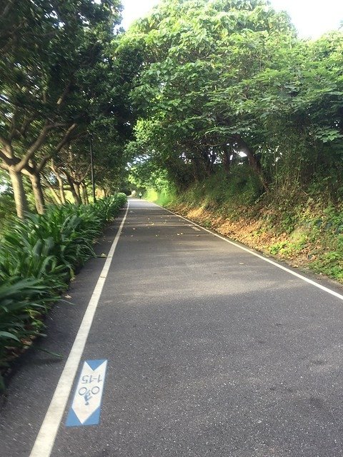 花蓮翰品晨跑 (10)