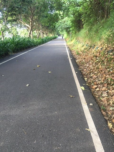 花蓮翰品晨跑 (9)
