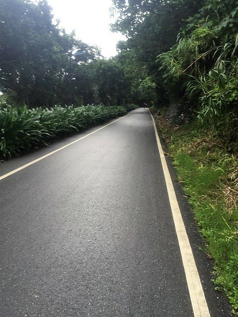 花蓮翰品晨跑 (21)