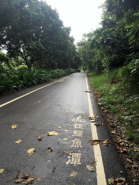 花蓮翰品晨跑 (20)