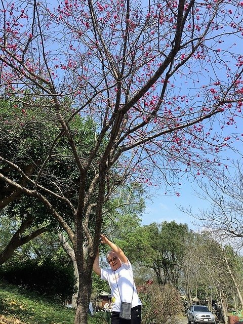 牛耳藝術渡假村 (34)