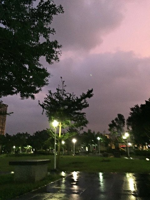 士林運動公園 (5)