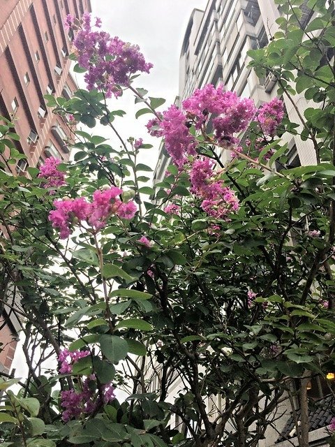 北投 (7)