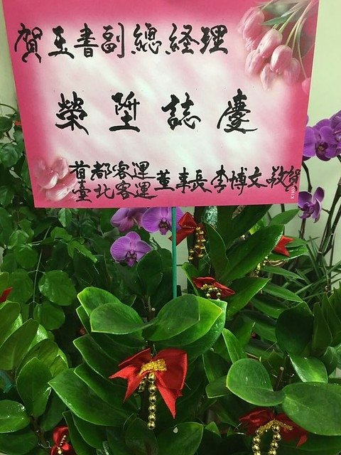 玉書 (2)