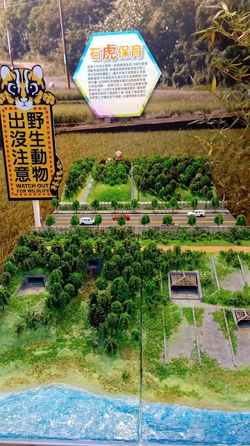 石虎保育