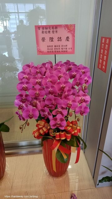 升官花禮購買推薦
